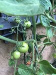 IMG_2275.JPG