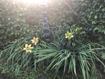 IMG_2279.JPG