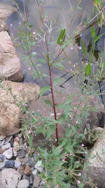 20210718_195026.webp