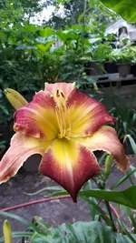 20210719_183807.webp