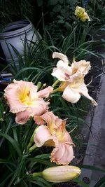 20210721_193102.webp