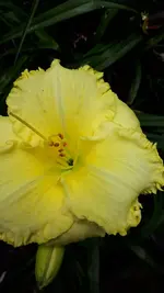 20210719_183639.webp