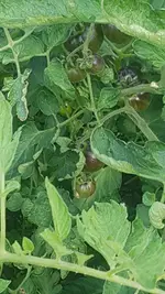 20210722_174337.jpg