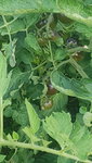 20210722_174337.jpg