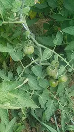 20210722_174501.jpg