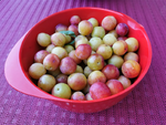 IMG_20210722_182914.png