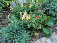 IMG_20210722_171729.webp