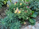 IMG_20210722_171729.jpg