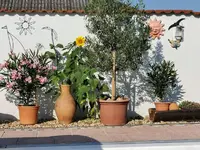 IMG_20210722_172644.webp