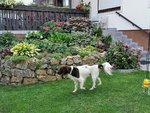 IMG_20210722_172839.jpg