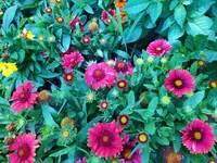 IMG_20210711_160150.webp