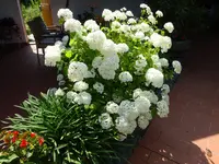DSC01944 (1).JPG