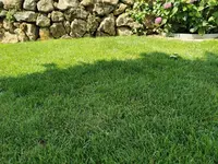 IMG_20210723_113626.webp