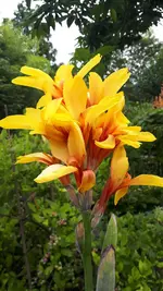 20210722_171245.webp