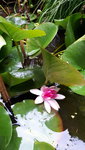 20210722_193830.jpg