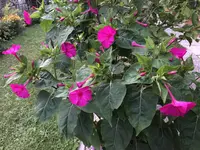 FA6422E7-5B6B-4B03-9CF6-A814ECF86232.webp
