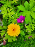 20210716_182734.webp