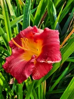 20210720_190043.webp
