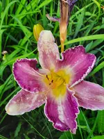 20210722_173245.webp
