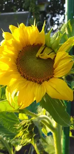 20210722_192017.webp