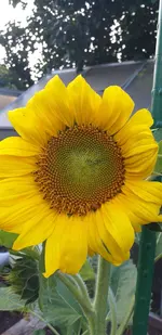 20210723_203522.webp