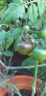 20210723_203542.webp