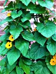 IMG_20210711_155354_1.jpg