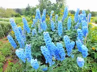 DSCF4885 (2).webp
