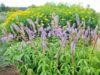 DSCF4892 (2).webp