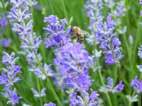 DSCF4901 (2).webp