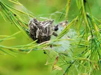 DSCF4904 (2).webp