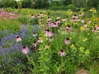 DSCF4908 (2).webp