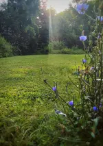 IMG_20210725_0744062-01.webp