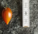 IMG_20210725_095530.jpg