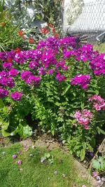 20210725_122909.webp