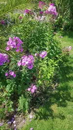 20210725_122855.webp