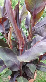 20210724_200127.webp