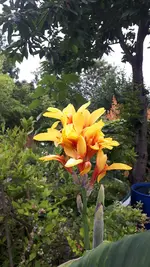 20210722_193302.webp