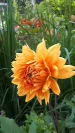 20210725_111645.webp