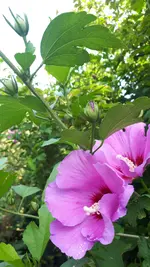 20210725_111349.webp