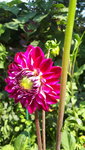 20210725_110646.jpg