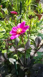 20210725_110941.webp