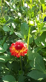20210725_110653.webp