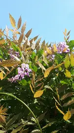 20210725_111757.webp