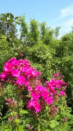 20210725_110621.webp