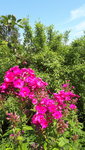 20210725_110621.jpg