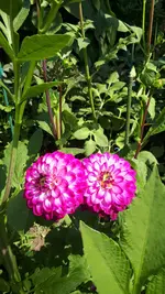 20210725_110753.webp