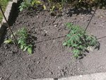 IMG_20210725_155208.jpg