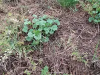 IMG_20210714_112409.webp