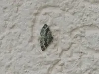 IMG_20210712_180601.webp